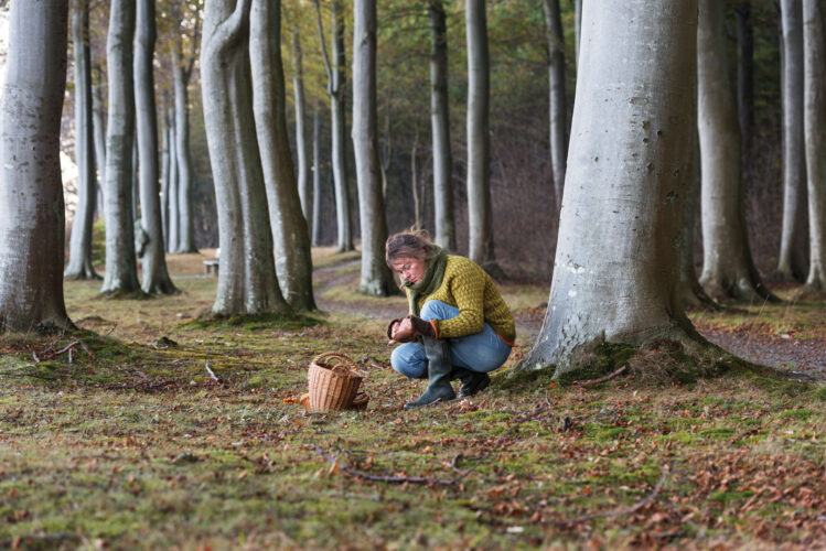 Winter Foraging In the Forest